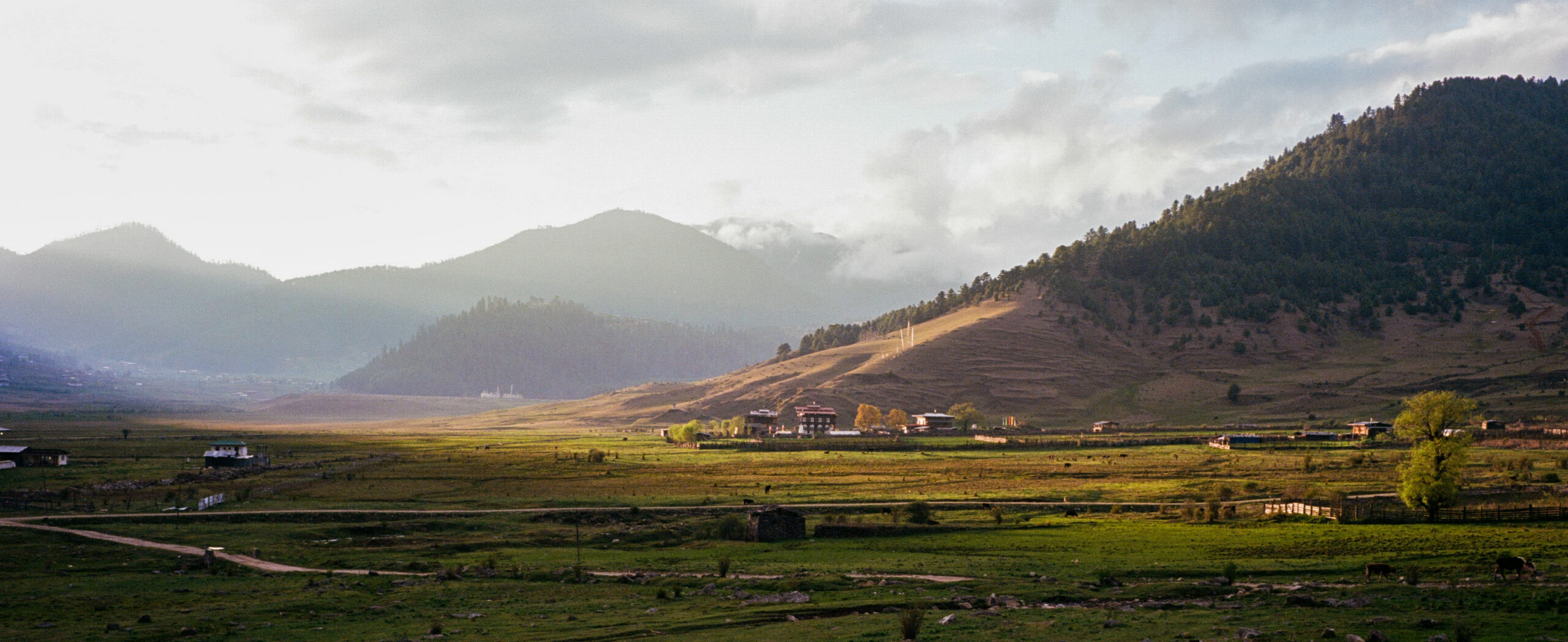 Phobjikha Valley at golden hour